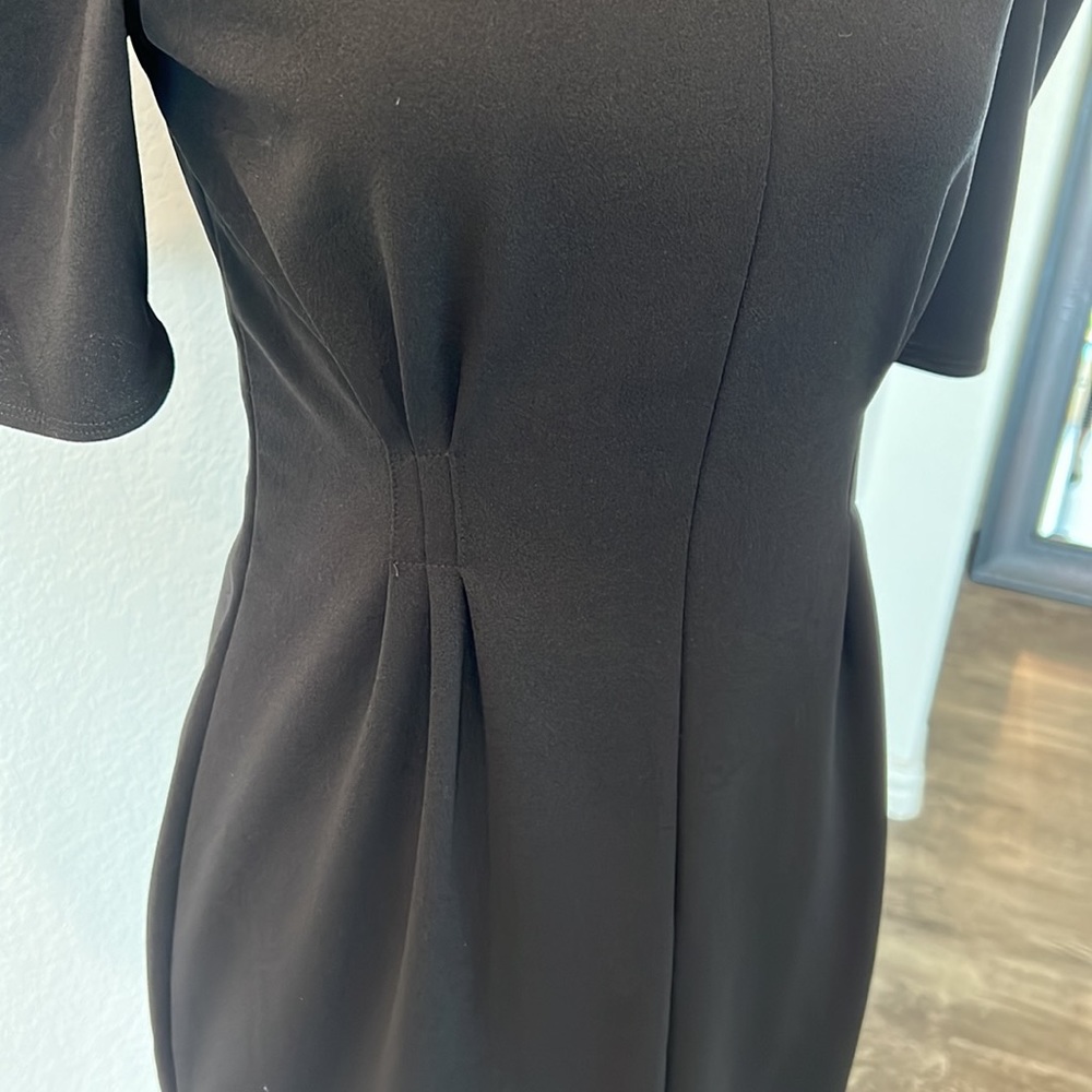 Express Dress - Picture 2 of 5